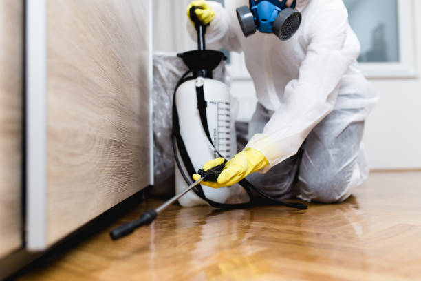 Best Cockroach Control Services  in Covedale, OH