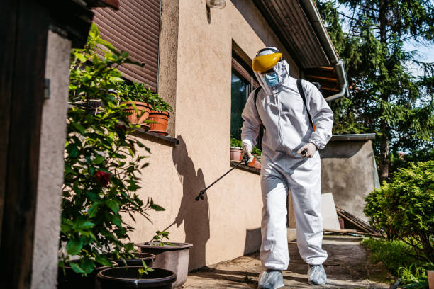Best Pest Control Treatment  in Covedale, OH
