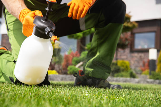 Best Bed Bug Extermination  in Covedale, OH