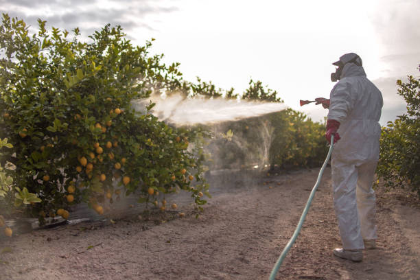 Best Pest Inspection Near Me  in Covedale, OH