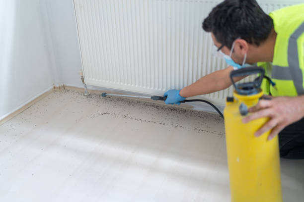 Best Exterminator Services  in Covedale, OH